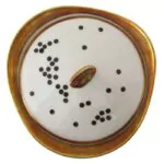 Black Dots Porcelain Stickers nuukk XS 710bc999 bb62 49a1 a663 407bc2a6775e 2