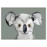 koala postcard XS 2