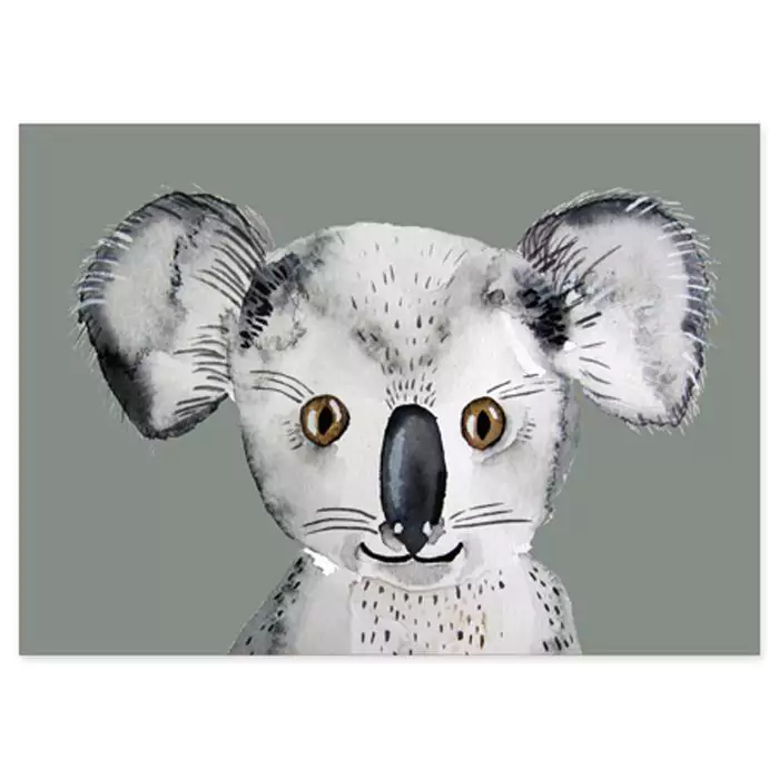 koala postcard XS 2