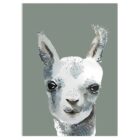 nuukk Postkarte aus Holzschliffpappe “Lama”