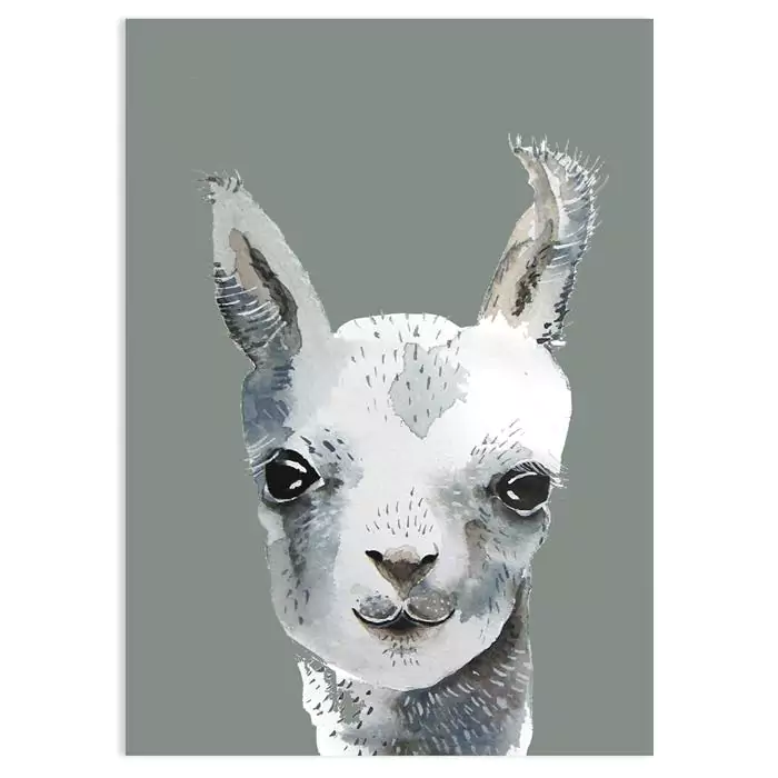 llama postcard XS 2 llama postcard XS 2