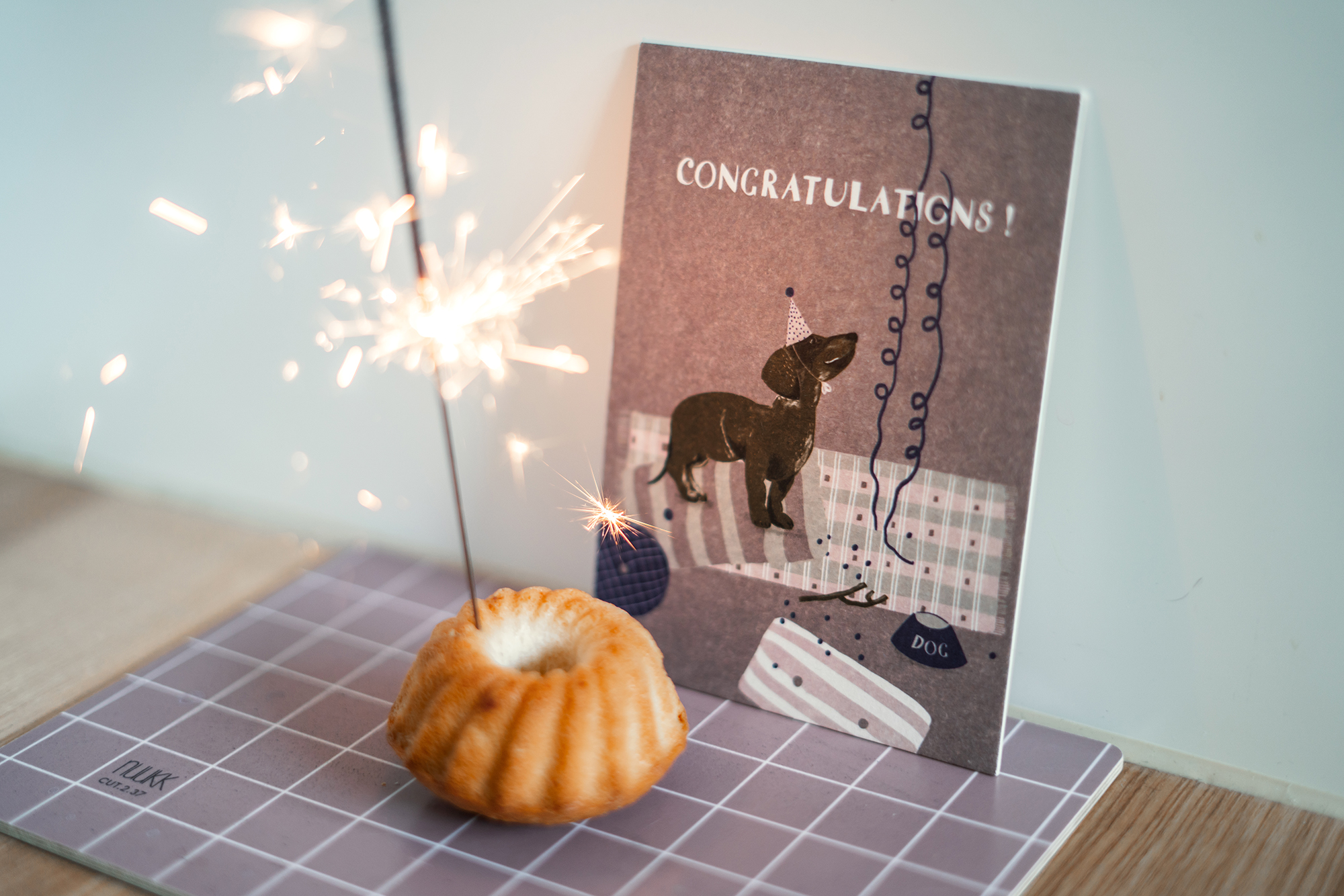 dogs-postkarte-congratulations-dackel-kuchen-wunderkerze-nuukk-schneidebrettchen-cuttingboard