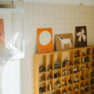 Postkarten von Anna Katharina Jansen auf dicke Holzschliffpappe gedruckt. Motive: Schmetterling, Zitrone, Mond, Stern